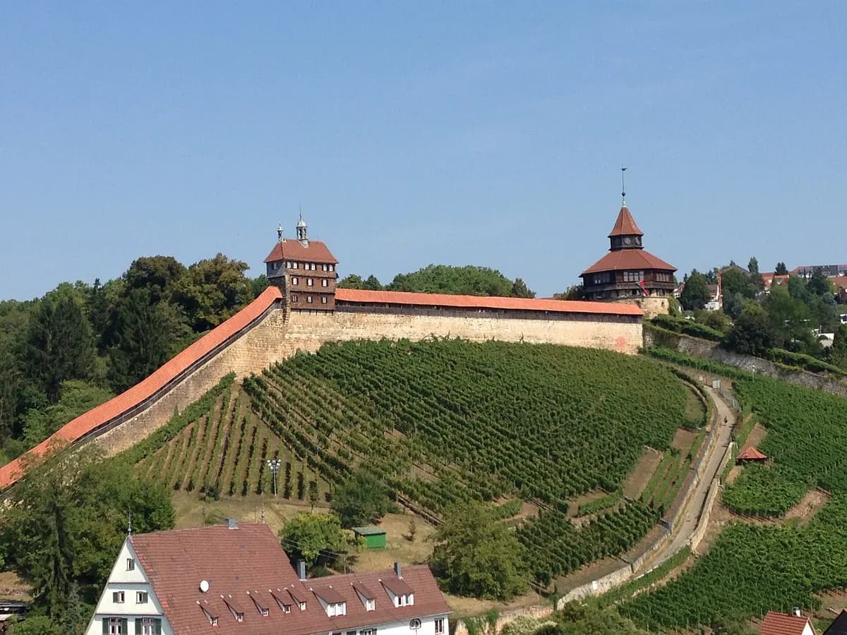 Esslingen am Neckar: eine mittelalterliche Burganlage mit Wehrgang und Turm über den Weinbergen
