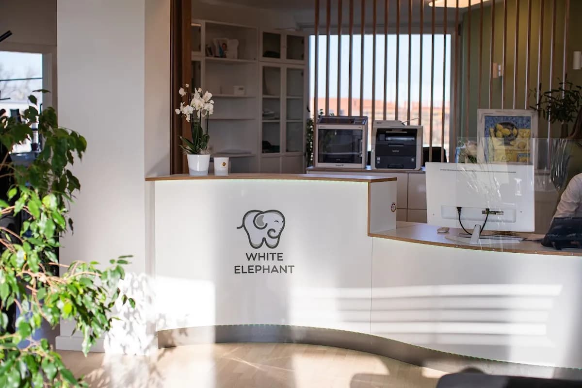 White Elephant Kieferorthopädie Köln-Deutz — Foto aus dem Google-Eintrag der Praxis