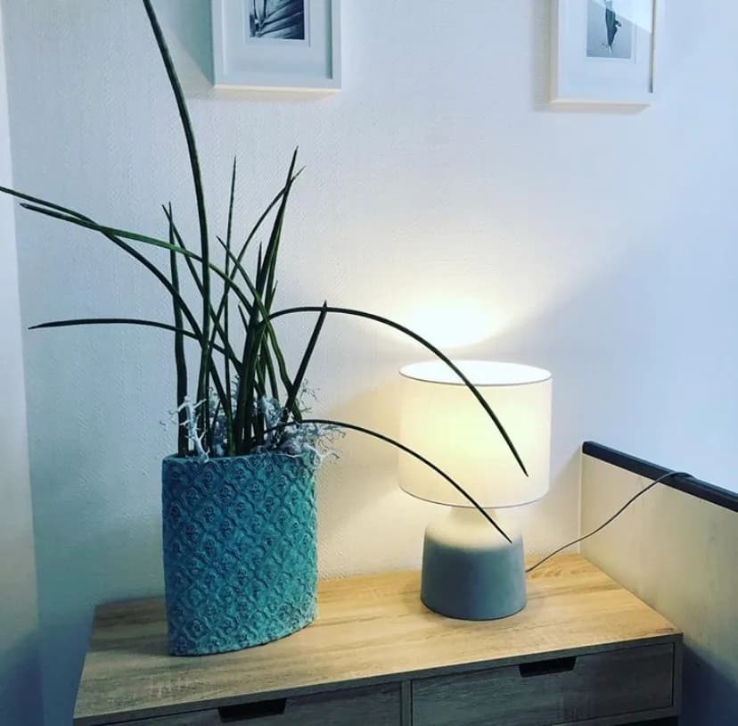 Zahnarztpraxis Erfurt Fleur Anschütz — Foto aus dem Google-Eintrag der Praxis