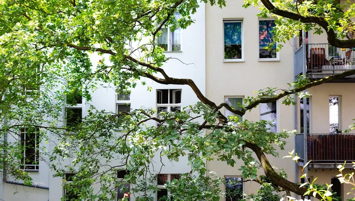 Dr. D Dental Treptow — Foto aus dem Google-Eintrag der Praxis