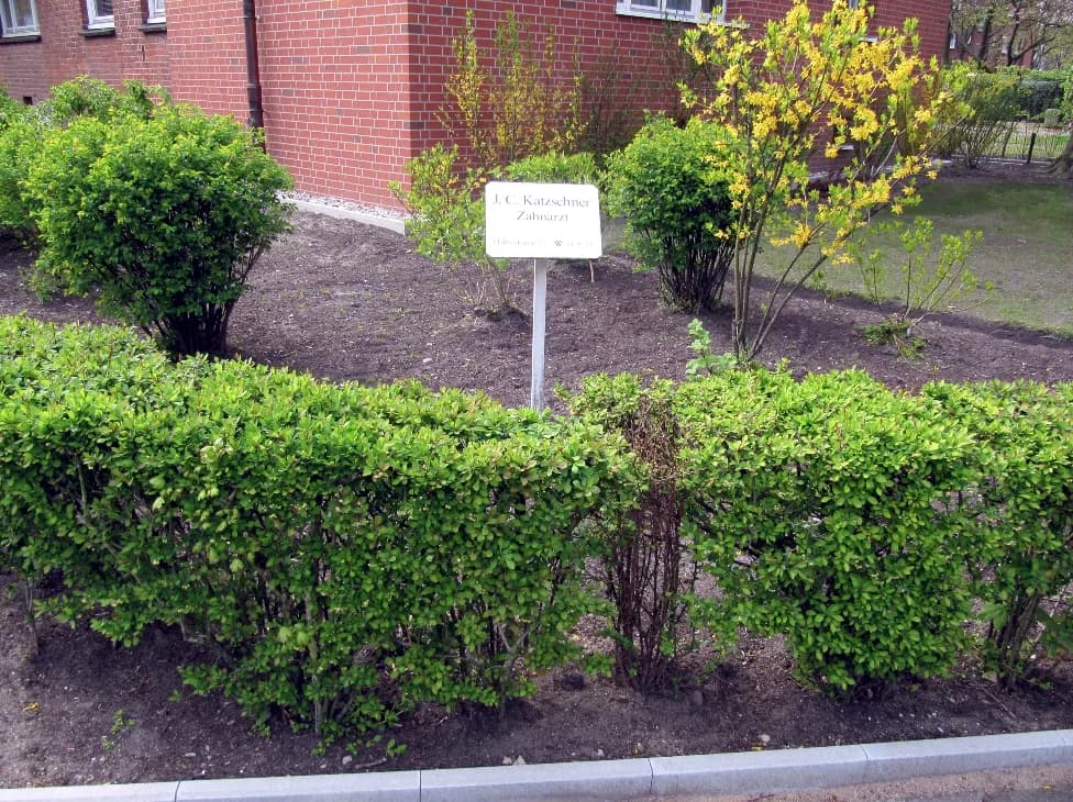 Katzschner, J.-C. Praxis für Zahnerhaltung — Foto aus dem Google-Eintrag der Praxis