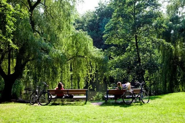 Zahnarztpraxis am Weiher, Dr. med. dent. Pamela Pratsch — Foto aus dem Google-Eintrag der Praxis