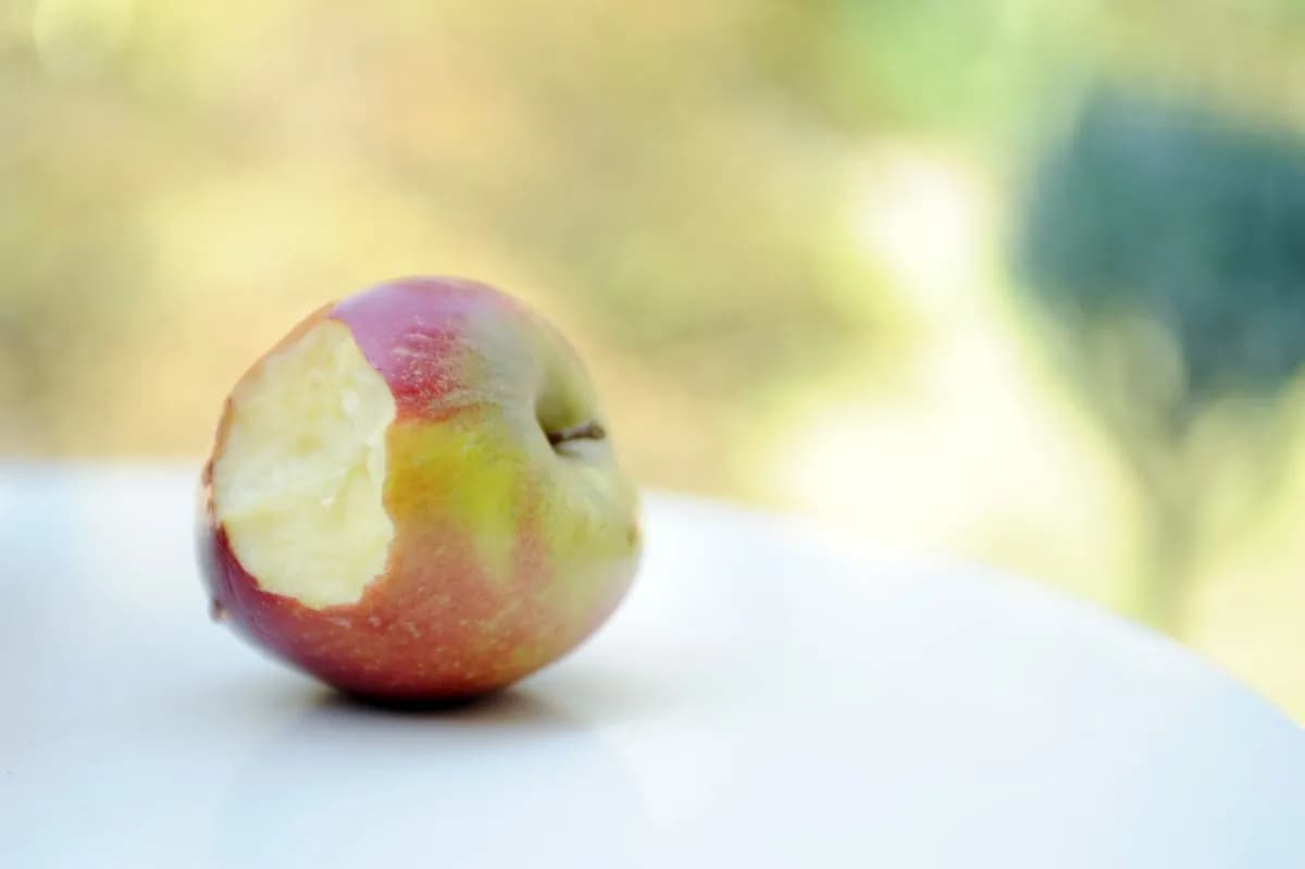 Zahnarztpraxis Susanne Armborst — Foto aus dem Google-Eintrag der Praxis